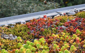 the cost of Mountain Bower green roof installation