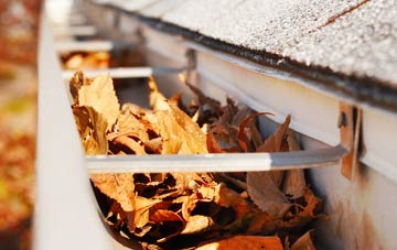 Mountain Bower gutter cleaning companies