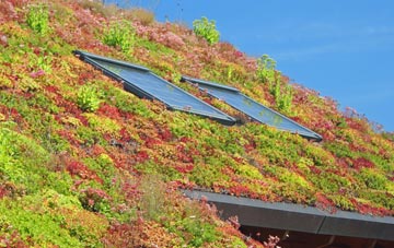 Mountain Bower living roof systems