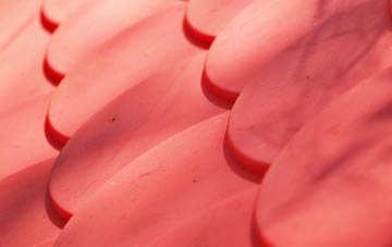 Mountain Bower plastic roof costs