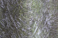 Mountain Bower fibreglass roof work