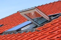Mountain Bower roof window